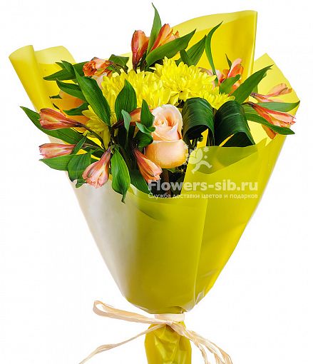 Цветы в гусеве с доставкой нидерланды цветы купить
